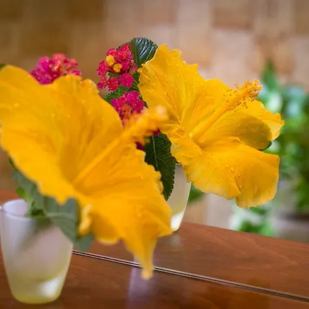 Su Connotu Couette-café Sestu