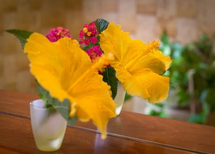 Su Connotu 住宿加早餐酒店 Sestu